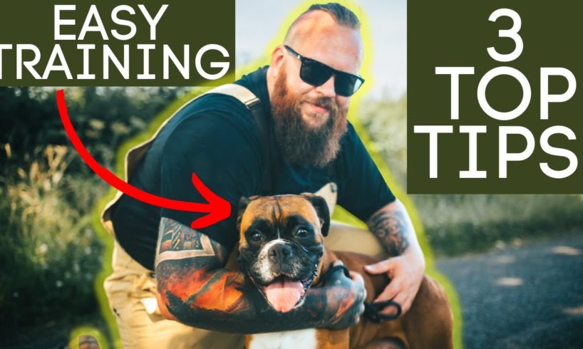 3 Tests To Guarantee Your Dog Training Success