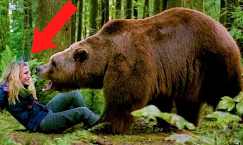 30 Interesting Animal Moments In The USA
