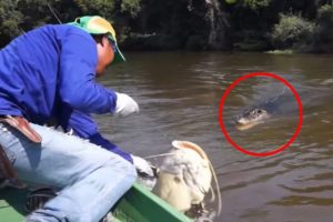 5 Scariest Animal Encouters In The Amazon Jungle