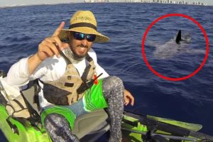 6 Shark Encounters Way Too Scary To Handle