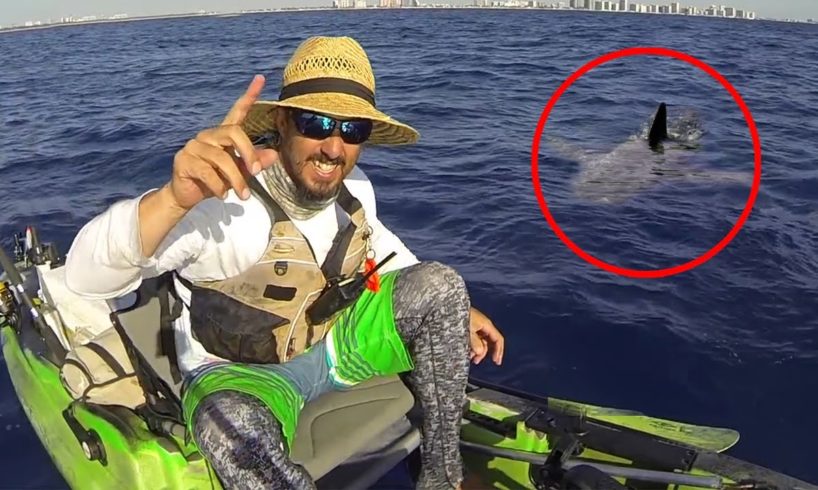 6 Shark Encounters Way Too Scary To Handle