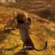 ASSASSINS CREED ORIGINS - LION VS LEOPARD - ANIMAL FIGHTS!!!