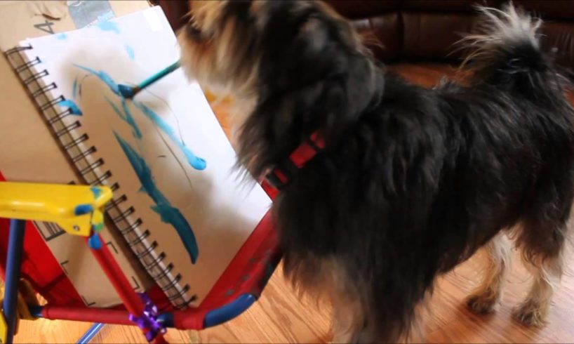 Amazing dog Koby plays music instruments and paints.