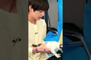 BTS playing with cutest puppies 🐶 😍 whatsapp status 💜 😍 #shorts #btsshorts #btsarmy #bantanboys