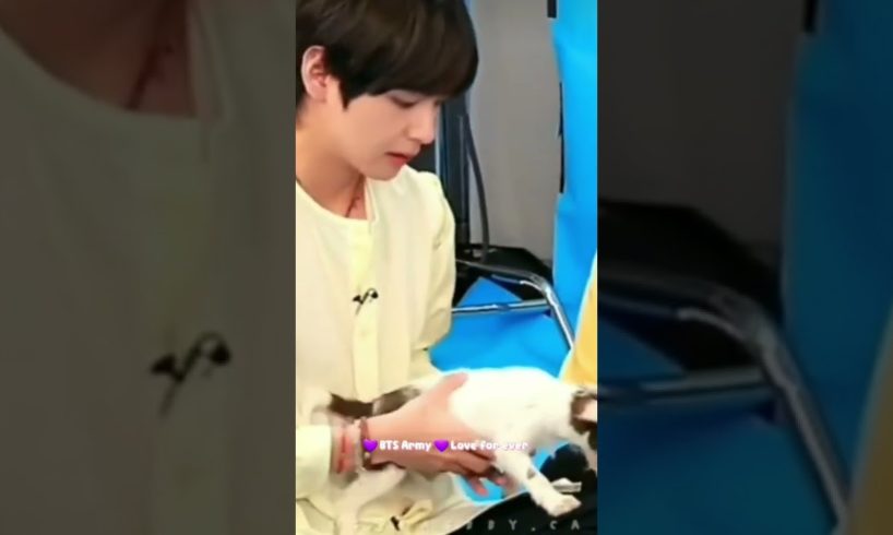 BTS playing with cutest puppies 🐶 😍 whatsapp status 💜 😍 #shorts #btsshorts #btsarmy #bantanboys