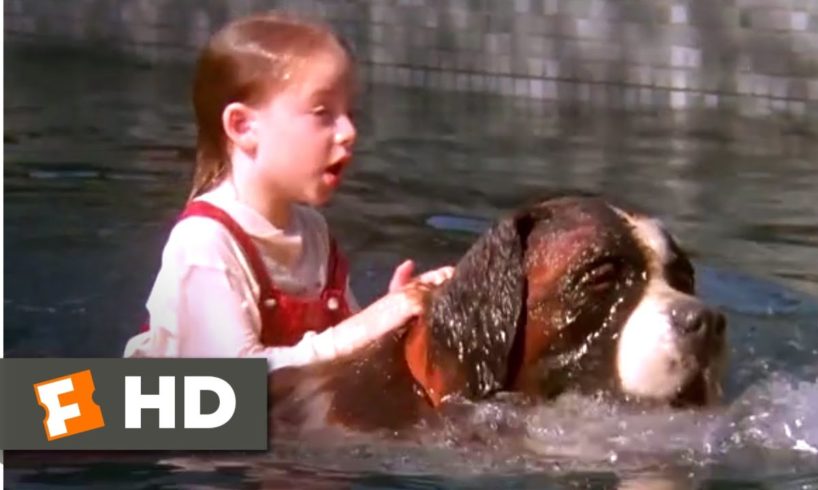 Beethoven (1992) - Drowning Rescue Scene (5/10) | Movieclips