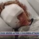 Boy, 11, Rescues Girl Amid Dog Attack (PIT BULL) In Ottawa County/White Nationalist Organizations