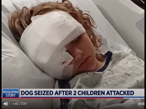 Boy, 11, Rescues Girl Amid Dog Attack (PIT BULL) In Ottawa County/White Nationalist Organizations