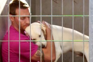 Brandon Rescues an Abandoned Energetic Labrador Retriever | Lucky Dog