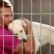 Brandon Rescues an Abandoned Energetic Labrador Retriever | Lucky Dog
