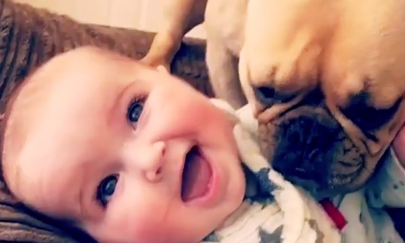 CUTE PUPPIES AND BABIES PLAYING TOGETHER COMPILATION