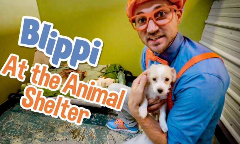 Caring After Pets with Blippi | Explore with BLIPPI!!! | Educational Videos for Toddlers