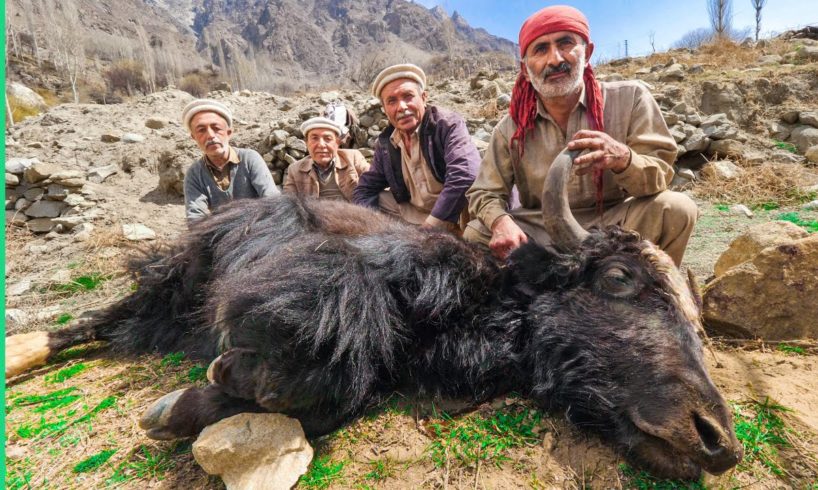 Cooking Entire YAK!! Pakistani Mountain Food in Hunza!!