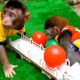 Cute baby monkey playing ball with his friends -animals home animal ht