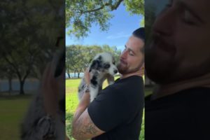 Cutest Puppies EVER 2022 😍  #Shorts