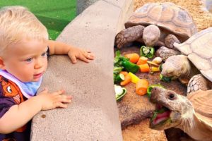 Diana and Roma feed the animals at the Emirates Park Zoo