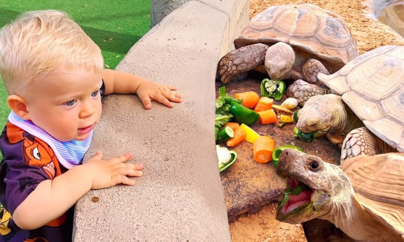 Diana and Roma feed the animals at the Emirates Park Zoo