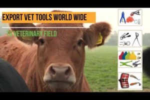 Do Care About Your Livestock  || Veterinary Surgical Instruments || Veterinary Medicines
