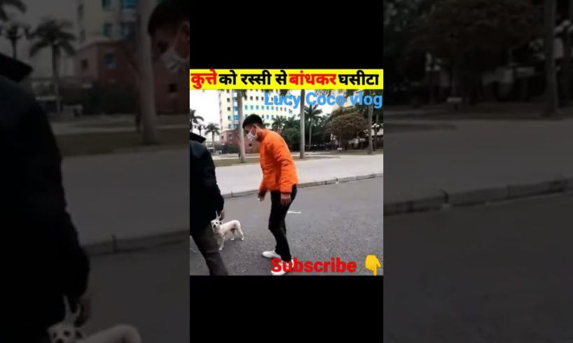 Dog rescue 🙏🙏||story explained in Hindi|| animal rescue caught on camera #shorts #ytshorts #respect