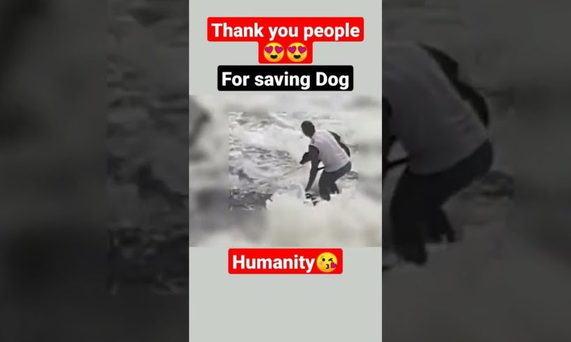 Dog rescue😲😲#shorts #dog