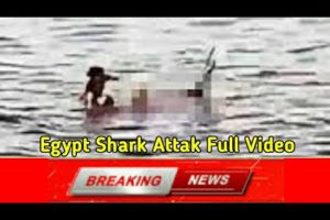 EGYPT Shark Attak 2022 Video Of Australian Touarist Women in Red Sea | Resort Near Shram al Sheikh