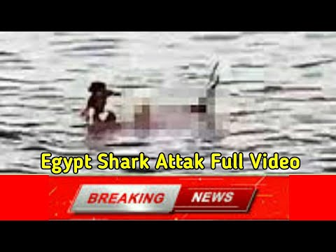 EGYPT Shark Attak 2022 Video Of Australian Touarist Women in Red Sea | Resort Near Shram al Sheikh