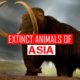 EXTINCT ANIMALS OF ASIA | SIMBEN