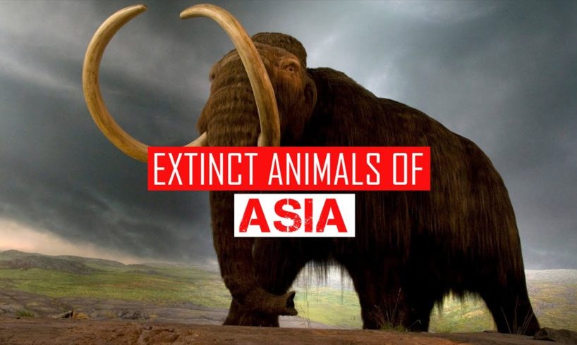 EXTINCT ANIMALS OF ASIA | SIMBEN