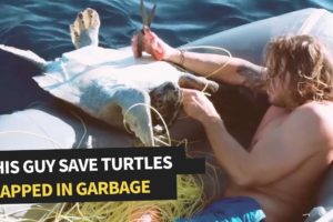 Family of Sea Turtles Rescued From Fishing Net | Incredible Animal Rescue