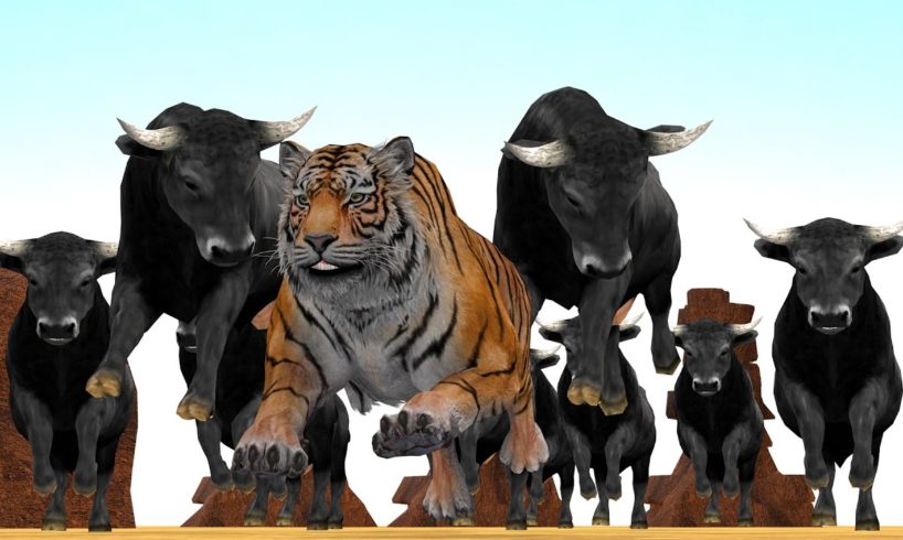 Giant Tiger vs Giant Bulls Fight Tiger Saved By Gorilla Wild Animal Fights Animal Revolt Epic Battle