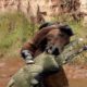 Horses Fighting Crocodiles And Amazing Animal Scenes - Amazing Stories