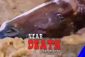 Hurts to Watch | NEAR DEATH EXPERIENCES CAUGHT ON CAMERA | GOPRO