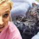 I Shouldn’t Be Alive - Luckiest Bondi Vet Animals! | Bondi Vet Compilation | Bondi Vet