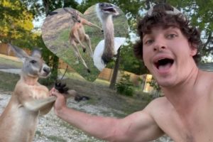 It Finally Happened… (Dababy eats Kevin)