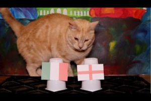 Italy Vs England - Animals Euro 2021 Final Prediction