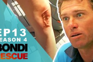 Jellyfish Cluster Strikes And Many Get Stung! | Bondi Rescue - Season 4 Episode 13 (OFFICIAL UPLOAD)