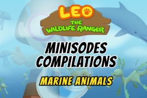 Marine Animals Minisode Compilation - Leo the Wildlife Ranger | Animation | For Kids