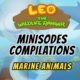 Marine Animals Minisode Compilation - Leo the Wildlife Ranger | Animation | For Kids