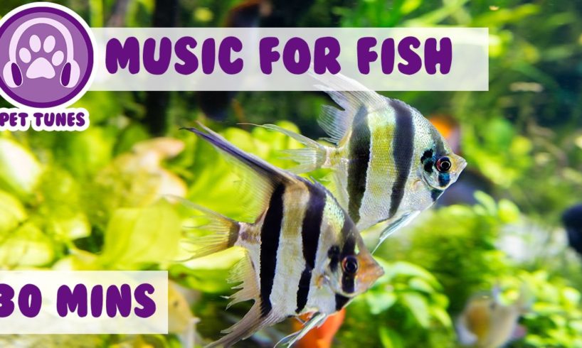 Music for Fish! Fish Tank Music.....We Love Pet Fish!, Fish Therapy, Aquarium Relax, Help My Fish
