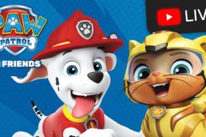 🔴 NEW Cat Pack and Moto Pups! PAW Patrol Rescue Episodes! | Cartoons for Kids Live Stream