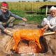 Pakistani Food FAIL!! Underground Goat Cooking Goes Wrong!!