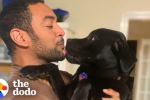 Rescue Puppy Who Keeps Getting Returned Finds Someone Who Understands Him | The Dodo