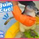 Rescued Penguin Is So Afraid of Water! What Will Her Rescuers Do? | Dodo Kids | Rescued!