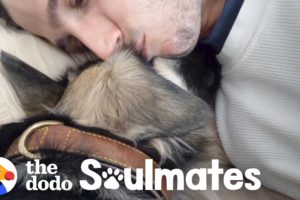 Scared Rescue Dog Slowly Falls In Love With Her New Dad | The Dodo Soulmates