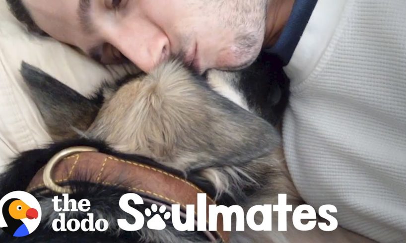 Scared Rescue Dog Slowly Falls In Love With Her New Dad | The Dodo Soulmates