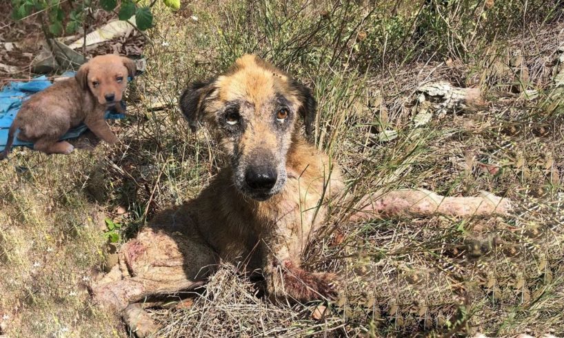 She And Her Children Are Waiting for a Better Life After a Series of Unlucky Days