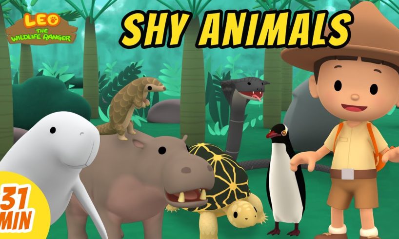 Shy Animals Videos Compilation | Leo the Wildlife Ranger | Animation | Fun Animal Show For Kids