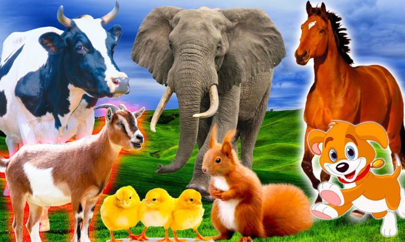 Sound of familiar animals: elephant, cow, horse, duck, chicken, cat - Part 18