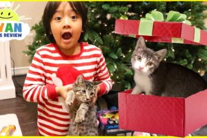 Surprise Ryan with Two Cats for Christmas!