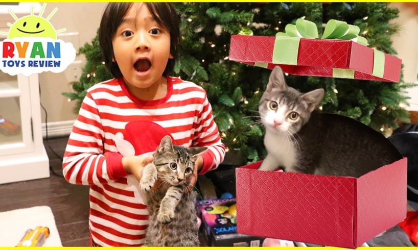 Surprise Ryan with Two Cats for Christmas!